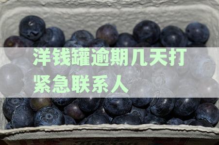 洋钱罐逾期后，是否会面临第三方催收电话？如何应对逾期还款以及相关风险？