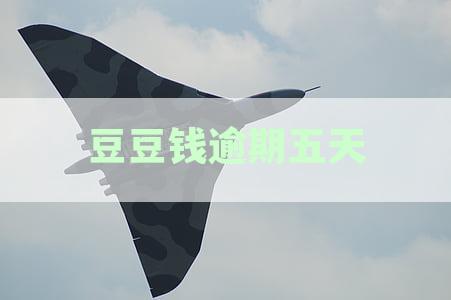 新豆豆钱逾期五天，人工催收未联系联系人，如何处理？
