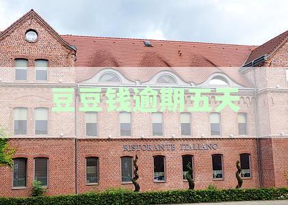 豆豆钱逾期五天是否会影响个人征信？如何解决逾期问题避免征信受损？