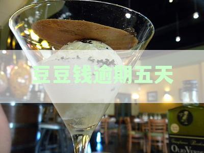 豆豆钱逾期五天说要转给催收会怎么样——暴力催收开始三天！