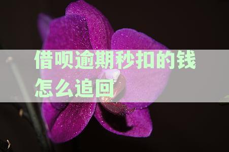 逾期后被自动扣款的借呗款如何追回？解决办法和资讯一览