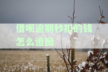 借呗逾期秒扣款怎么办？如何追回救命钱？