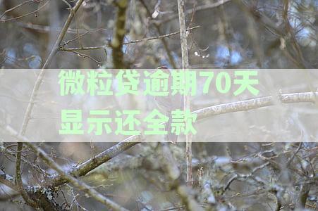 微粒贷逾期70天显示已全款，实际仍欠款怎么办？