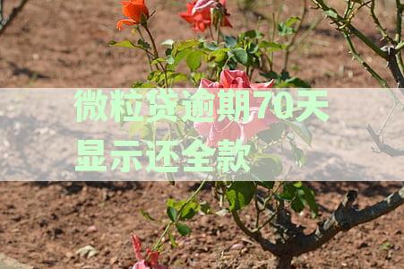 微粒贷逾期3天全额还款通知：原因、影响及解决办法一文解析