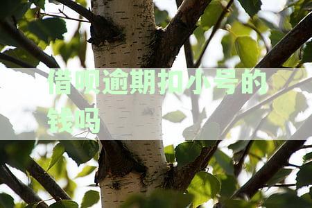 借呗逾期后，使用小号是否会立刻扣除欠款？这是真的吗？
