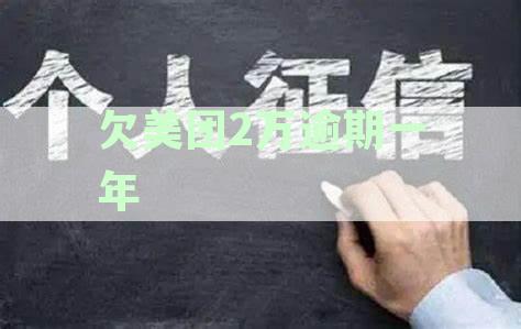美团欠款2万逾期一年：处理方式与后果详解，解决借贷难题的资讯