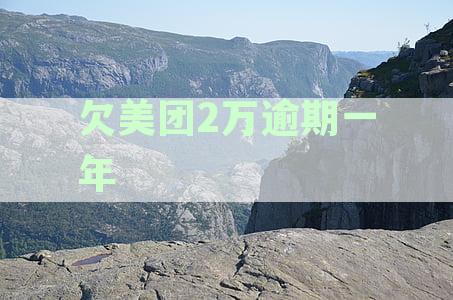 美团平台欠款一万多逾期一年：处理方式与后果