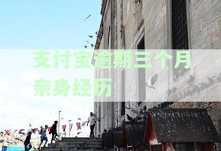 支付宝逾期三个月后的处理方法：避免被告上法庭的有效策略