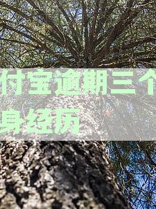 支付宝逾期三个月处理方式：如何避免被告与恢复账户状态