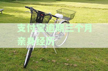支付宝逾期三个月后的正常处理流程详解，如何协商还款并避免催收