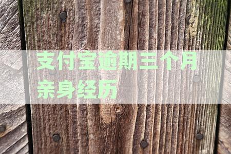 支付宝逾期3个月对征信的影响：详细解答与预防措