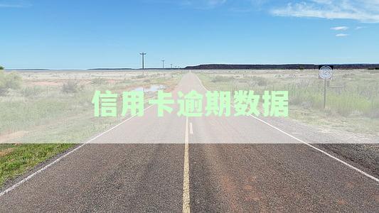 信用卡逾期数据分析报告：XXXX年与2020年中国数据概览与解读