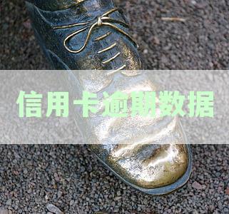 信用卡逾期数据修复全攻略：详细步骤、应对策略与常见错误解答