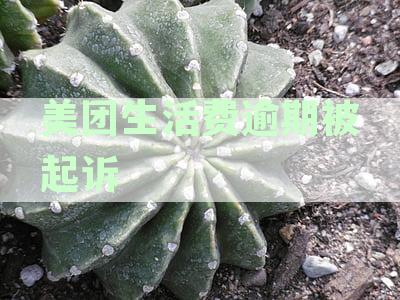 美团生活费逾期被起诉的几率大吗？安全吗？