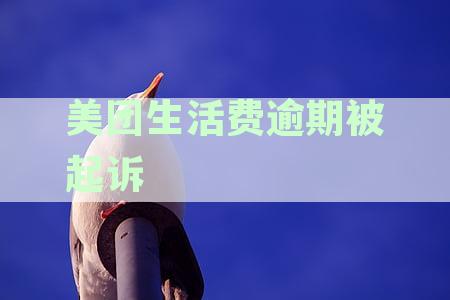 美团生活费逾期后的法律纠纷：诉讼费和律师费由谁承担？