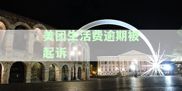 美团生活费逾期被起诉