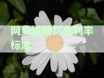 网贷逾期罚息利率：明确规定与计算方法的全面解析