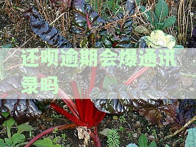 还呗逾期后如何避免爆通讯录及解决方法
