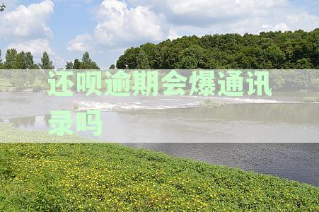 还呗逾期会爆通讯录吗