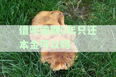 借呗逾期6年只还本金的后果及解决方法，用户如何应对？