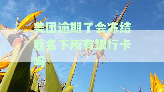 美团逾期会冻结名下所有银行卡安全吗？怎么处理？