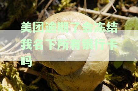 美团生活费逾期还款可能冻结银行账户吗？安全警示与解决方案