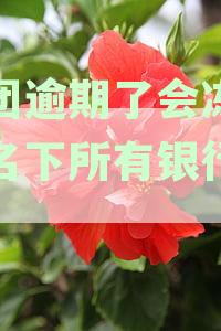 美团逾期了会冻结我名下所有银行卡吗