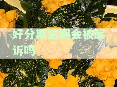 逾期还款后果及解决办法，如何处理无法按时还款的情况？