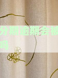 新逾期还款后果、解决方案及征信影响全面解析