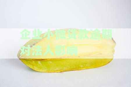 企业小微贷款逾期对法人的影响及其解决方案：全面分析与探讨