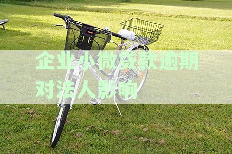 企业小微贷款逾期对法人的影响：如何应对和处理？