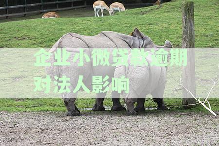 小微企业贷款逾期不还：对法人的全面影响及其解决方案