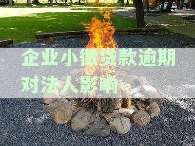 公司小微贷款对法人个人信誉的影响分析