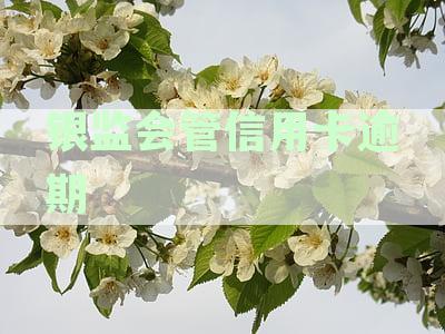 银监会发布新规定：信用卡申请、使用、管理全方位指南，解答用户常见疑问
