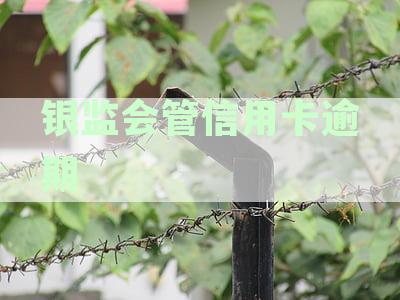 银监会可以投诉信用卡逾期利息吗？