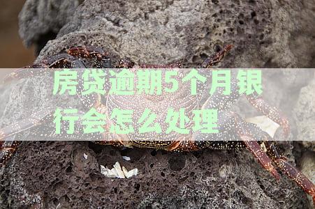 房贷逾期五个月银行催款，能协商吗？如何处理？