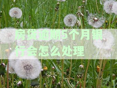 逾期5个月还房贷是否需要支付违约金？专家解答：法律规定和常见问答