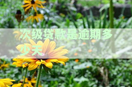次级贷款逾期还款时间：多少天算逾期？