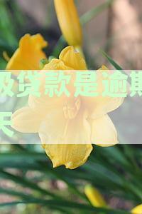 次级类贷款逾期多少天会被起诉：完整解释与标准