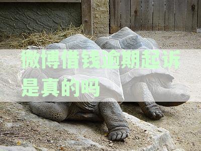 微博上借款逾期后是否真的会被起诉：关键因素和真实案例解析