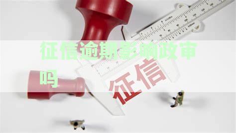 征信逾期对政审的影响及解决方法全面解析：如何避免不必要的麻烦