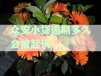 众安小贷逾期后可能的起诉时长与成功率：一个全面的分析