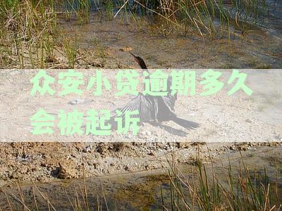 众安小贷逾期会不会起诉：家人、第三方或影响征信？