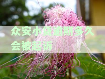 众安小贷逾期多久会被起诉