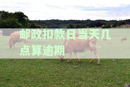 邮政银行扣款时间调整：避免逾期还款