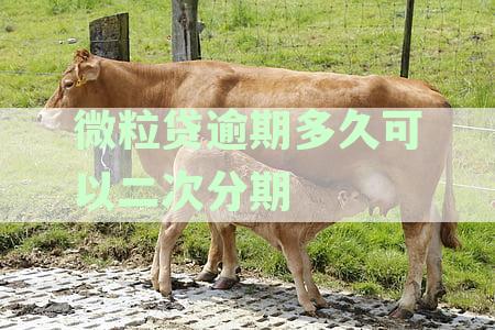 微粒贷逾期后二次分期的具体操作步骤和是否需要支付利息
