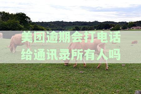 美团逾期会打电话给通讯录所有人吗