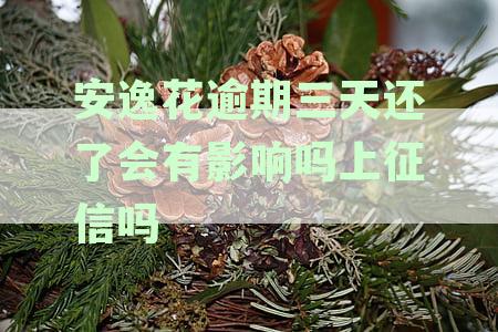 安逸花逾期三天是否会对个人征信造成影响？