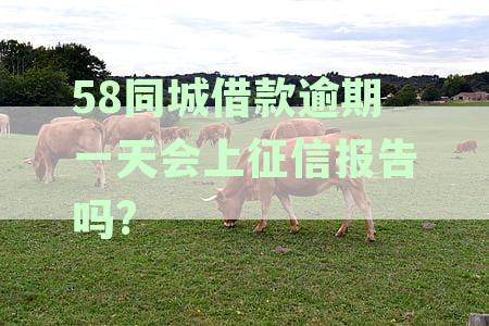 借款逾期一天会上征信报告吗？安全可靠吗？