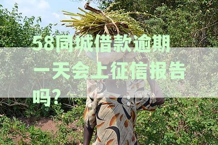 逾期几天上征信：关于借款逾期后的处理方式及时间限制的解答